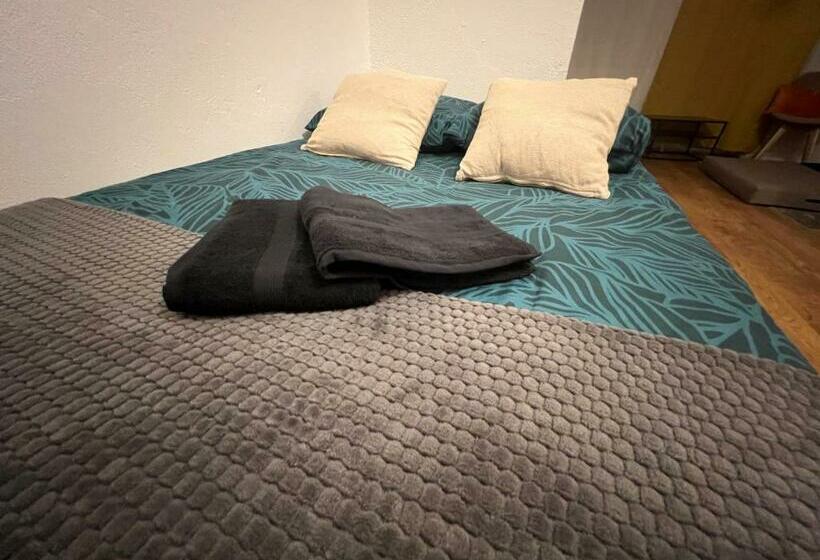 Mon Palmier Grand Appartement Parking Un Séjour à Part