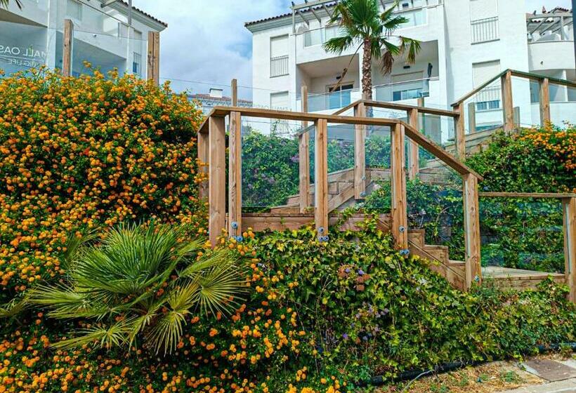 Small Oasis #1, Manilva