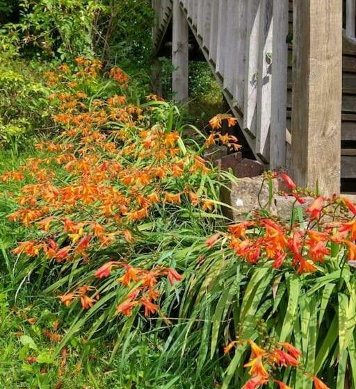 The Studio, Upper House Farm, Crickhowell