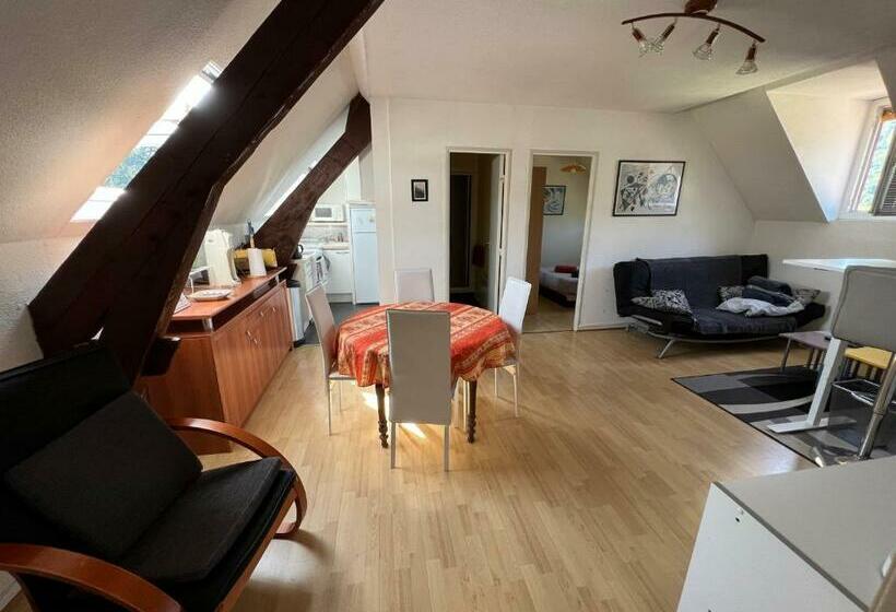 Appartement T3 à Argelès Gazost, Htes Pyrénées, à Proximité De Cauterets Et Gavarnie