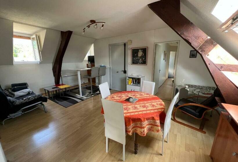 Appartement T3 à Argelès Gazost, Htes Pyrénées, à Proximité De Cauterets Et Gavarnie