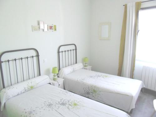 Côté Vignes à Bélesta