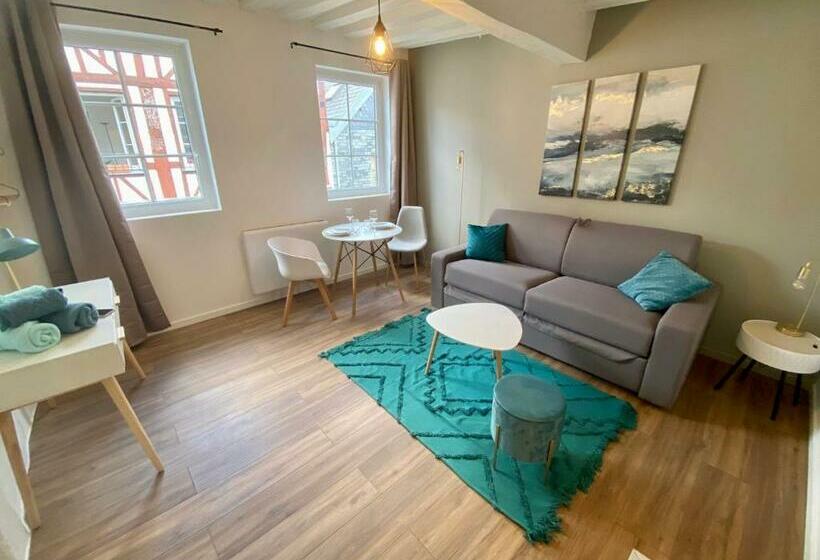 Le Studio Bleu   Studio Hypercentre Rouen   106