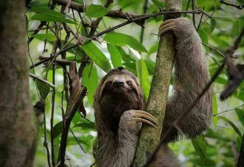 Lovely 2 Bdroom Condo In Laguna Eco Village Resort