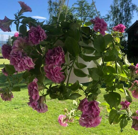 Mysigt Boende I Rättvik Med Utsikt över Siljan