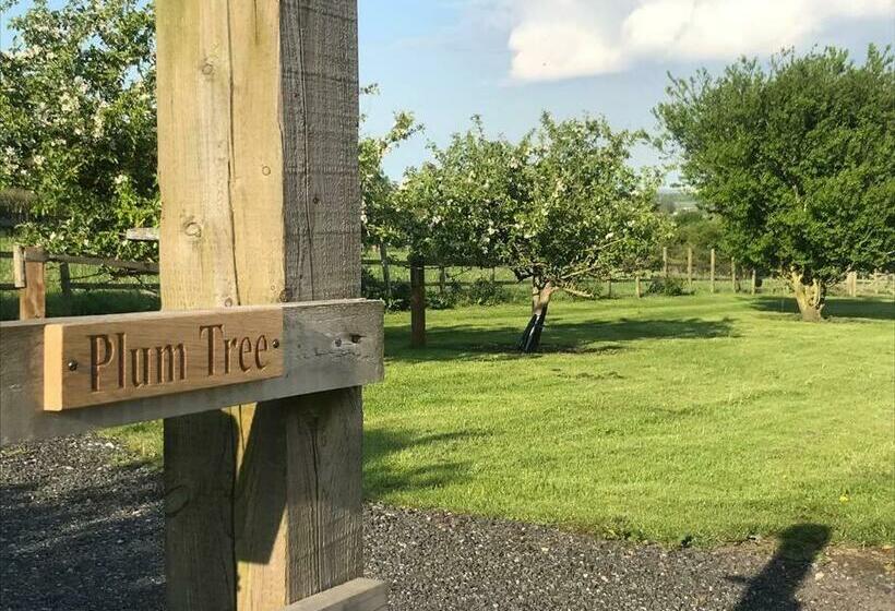 Plum Tree Lodge Set In 2 Acres Of Private Land