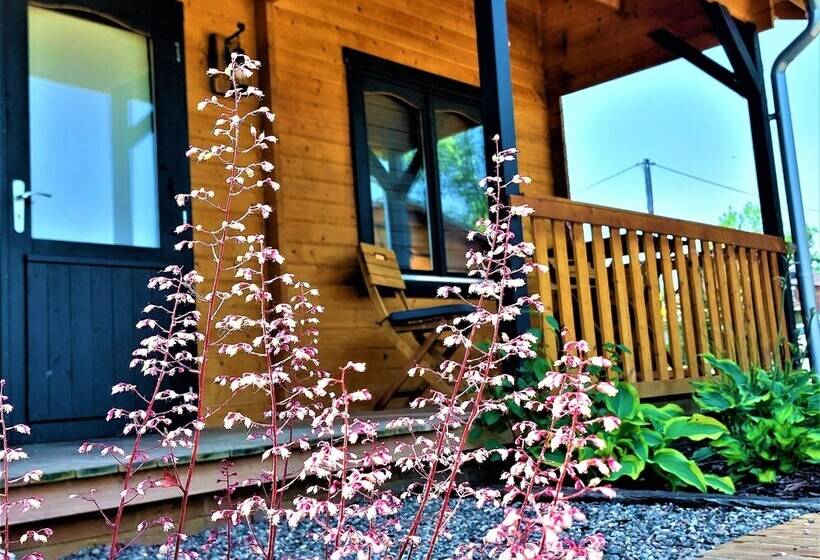 The Malvern Hills Courtyard Cabins