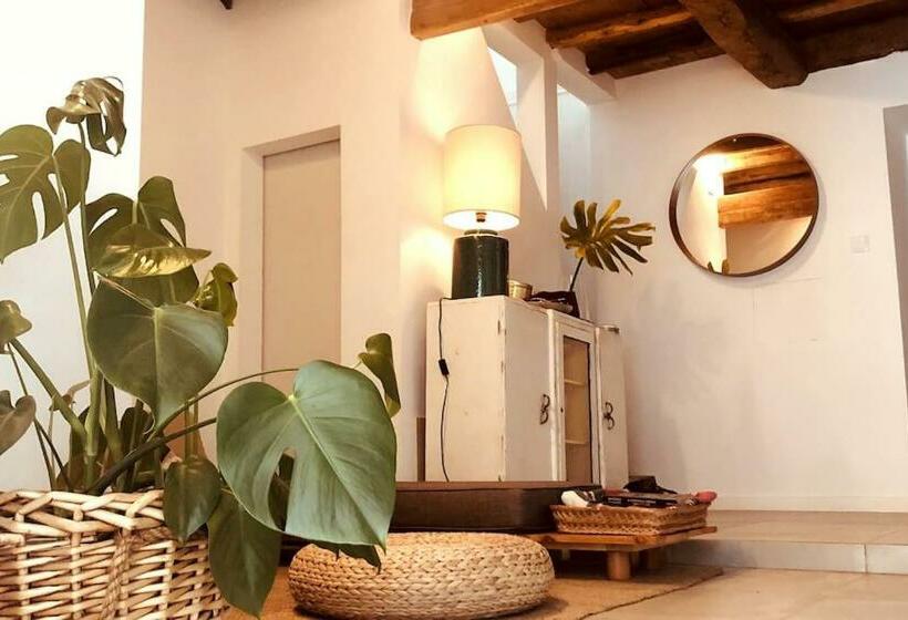 A Casa Da Monstera
