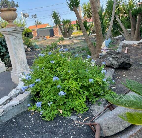 Etna Guest House 177