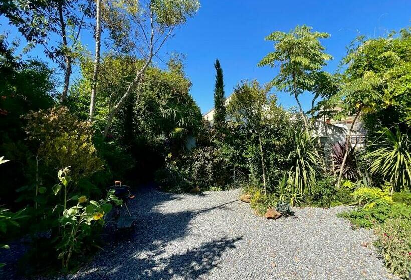 Maison Dans Sa Jungle, Aux Milliers D’espèces…