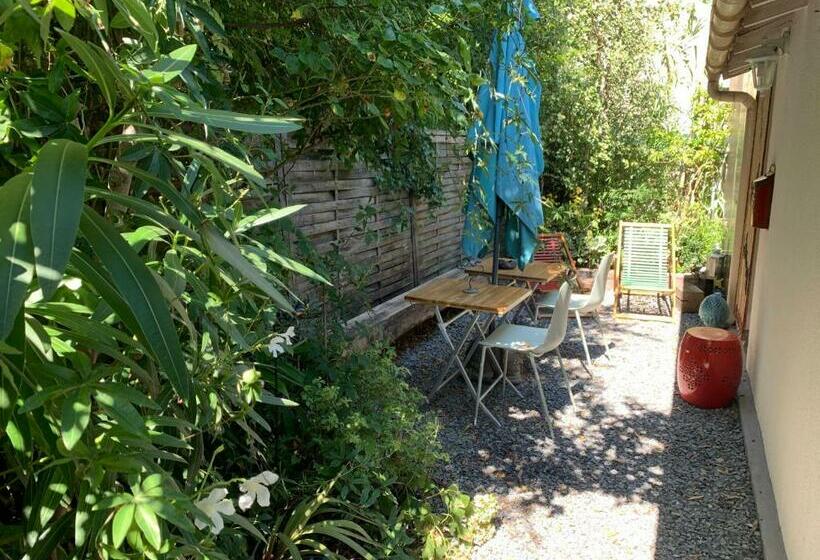 Maison Dans Sa Jungle, Aux Milliers D’espèces…