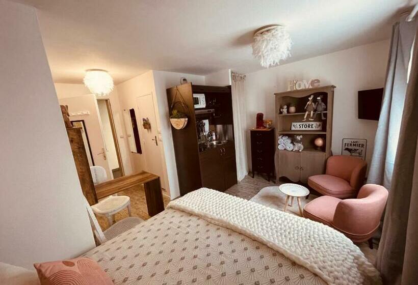 Mamzelle Toutapié, Studio Quartier Historique De Vannes Proche Gare