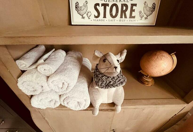 Mamzelle Toutapié, Studio Quartier Historique De Vannes Proche Gare