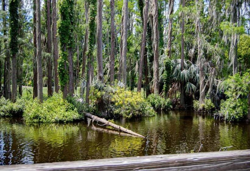 Newly Listed! 20 Percent Off! Golf And Tennis Community   Lavish Living