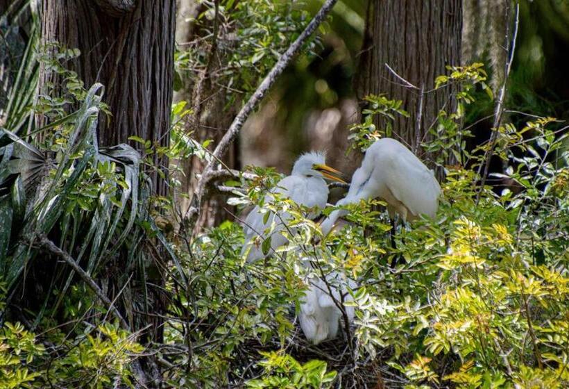 Newly Listed! 20 Percent Off! Golf And Tennis Community   Lavish Living