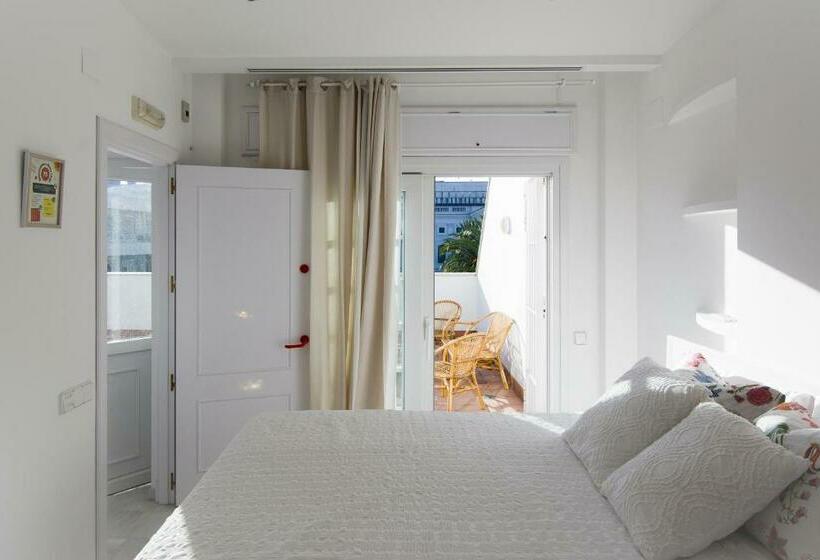 ático Con Terraza Centro Ciudad