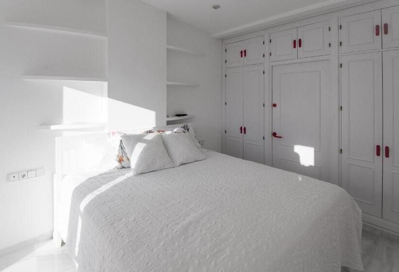 ático Con Terraza Centro Ciudad