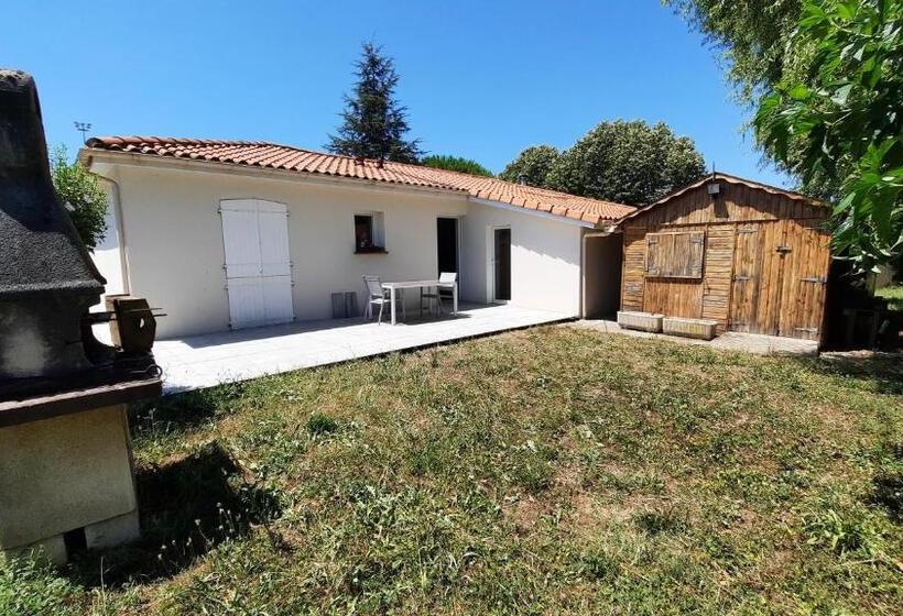 Villa 6 Min Toulouse 130 M2 6 Personnes Jardin 1000m2 Arbres Terrasses