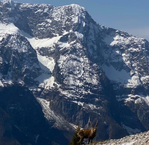 Wood Apartment In Canin Ski Resort