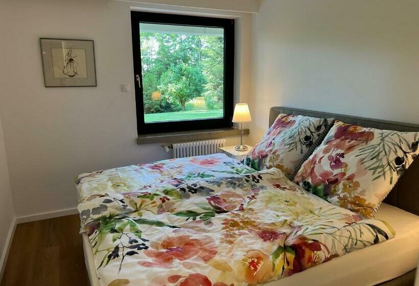 2 Zi Whg Kassel Brasselsberg