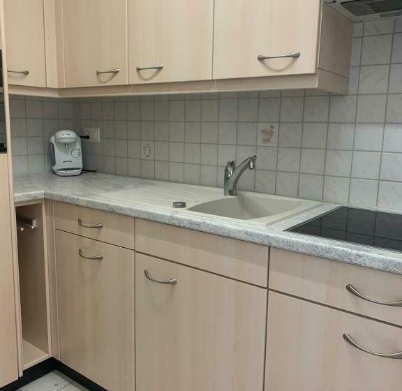 Appartement 1,5 Pièce