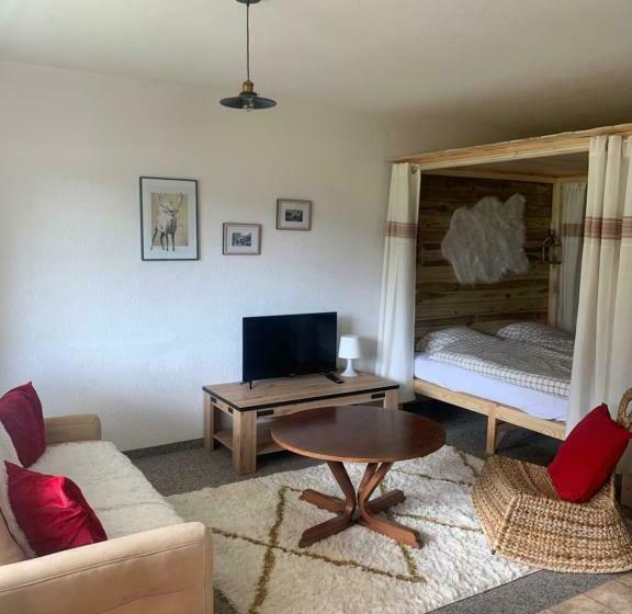 Appartement 1,5 Pièce