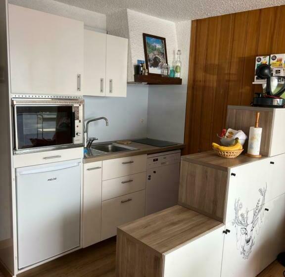 Bel Appart Pieds Des Pistes