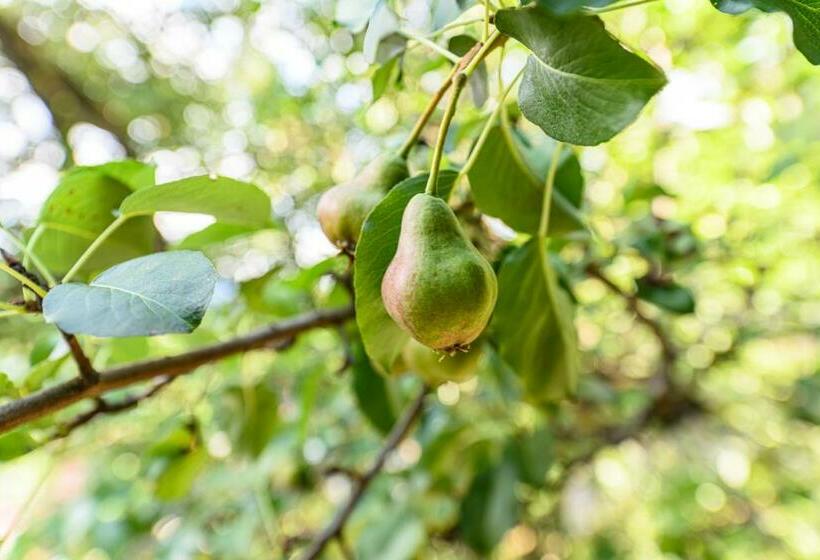 Blend Mountain Villa