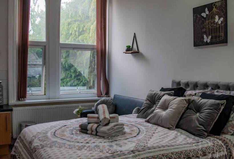 Bv Comfy Studio At Maningham Lane Bradford