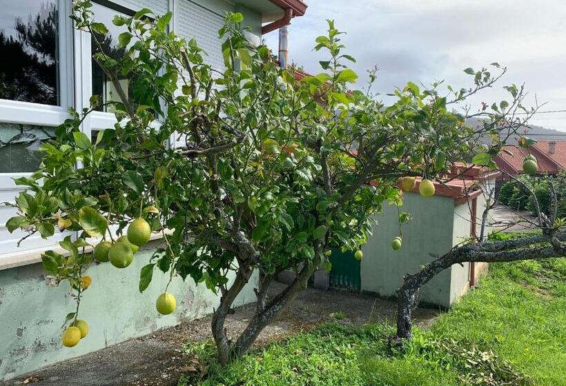 Casa Frutales Escaselas