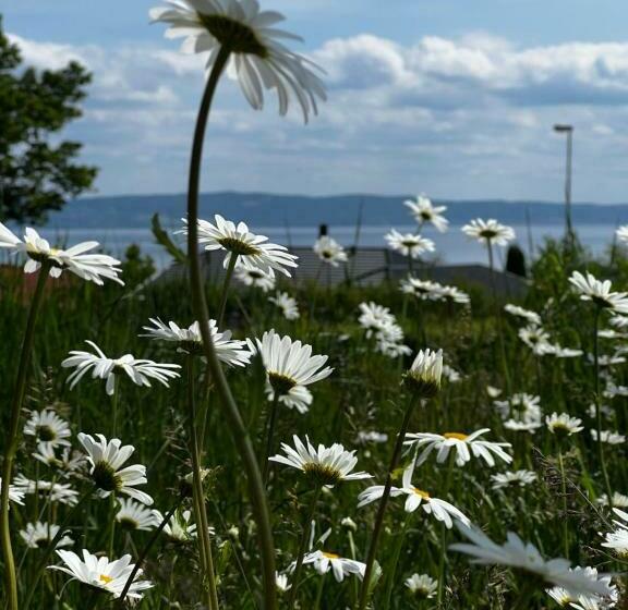 Fantastisk Vätterutsikt Mellan Habo Och Bankeryd