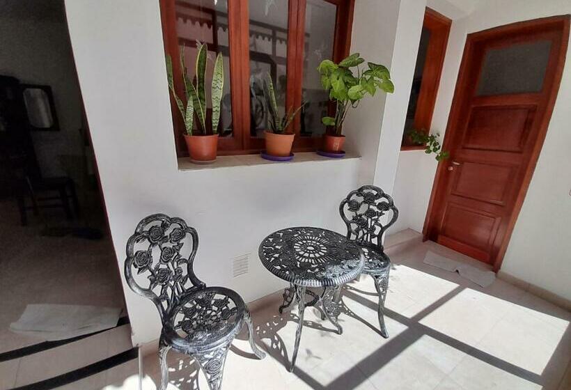 La Casa Del Colibrí