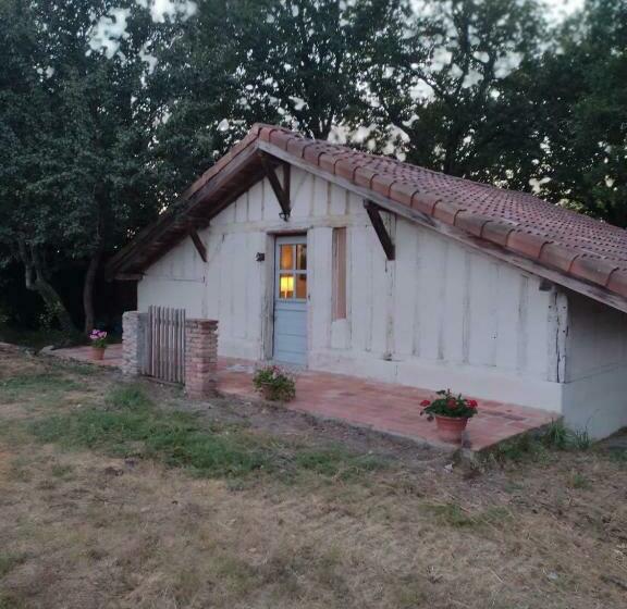 Maisonnette Vue Sur Forêt