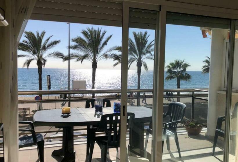 Mariuca   Oceanfront