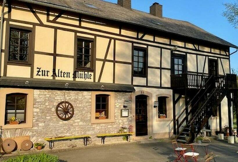 Alte Mühle Börfink