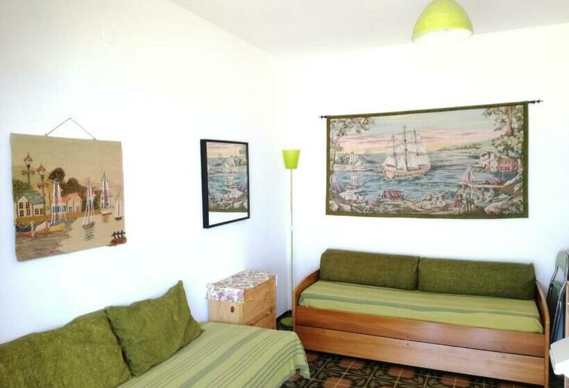 Brancaccio’s House Summer