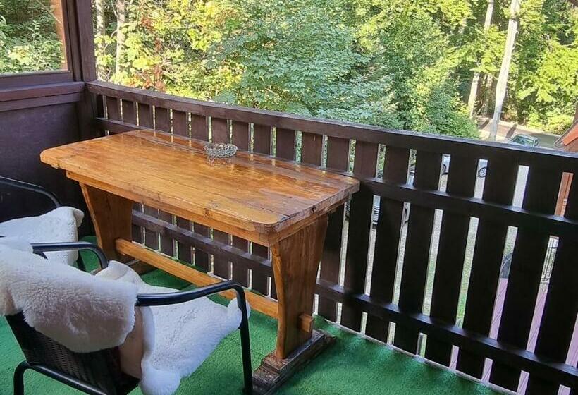 Studio Furnica Sinaia