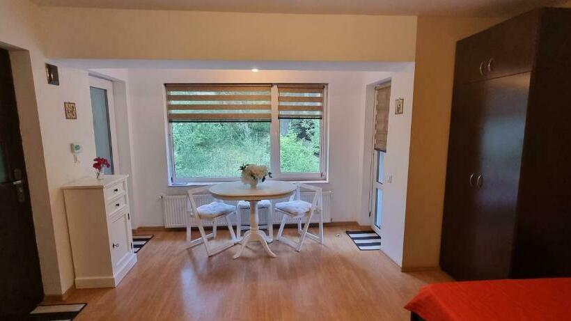 Studio Furnica Sinaia