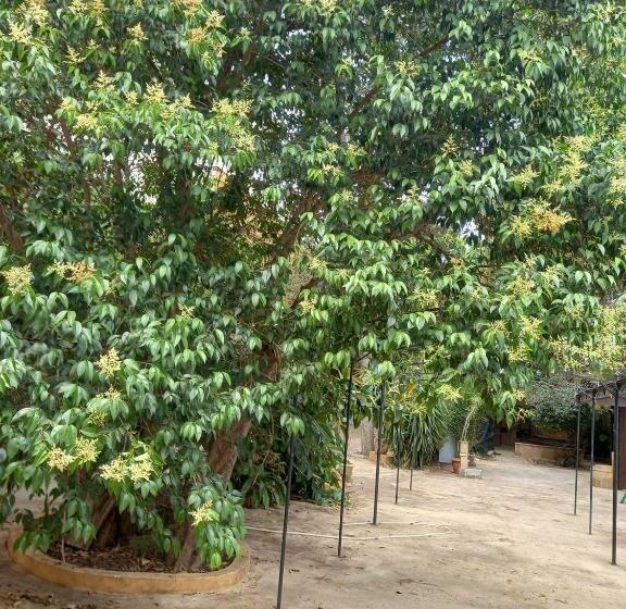 Villa Coglitore A Bagheria