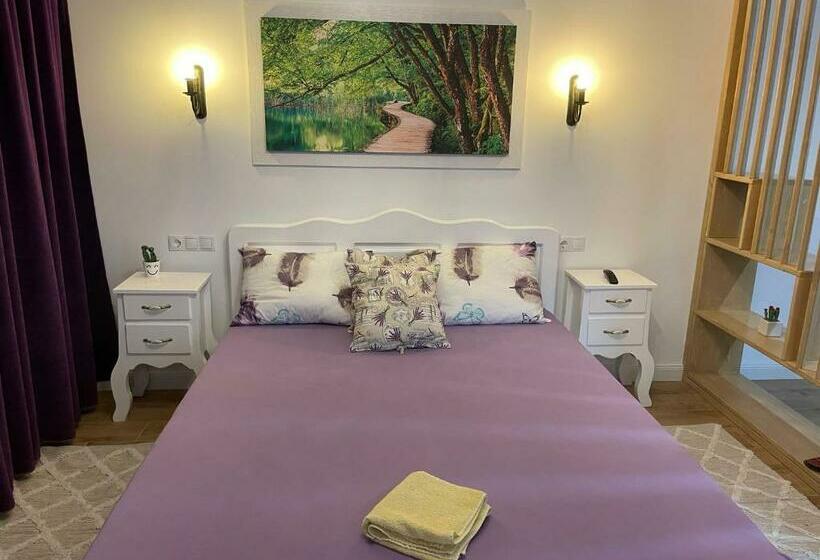 Apartament Gabriela 39