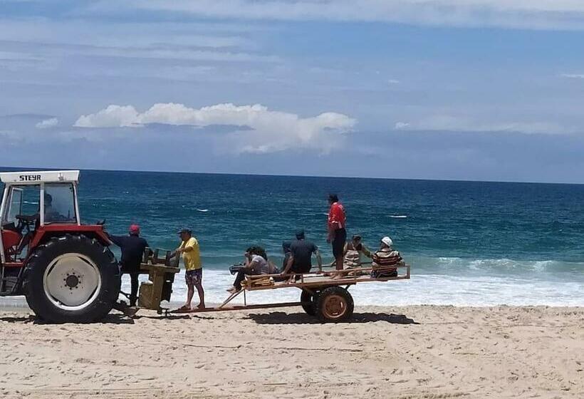 Apartamento Em Torreira   Nenúfares