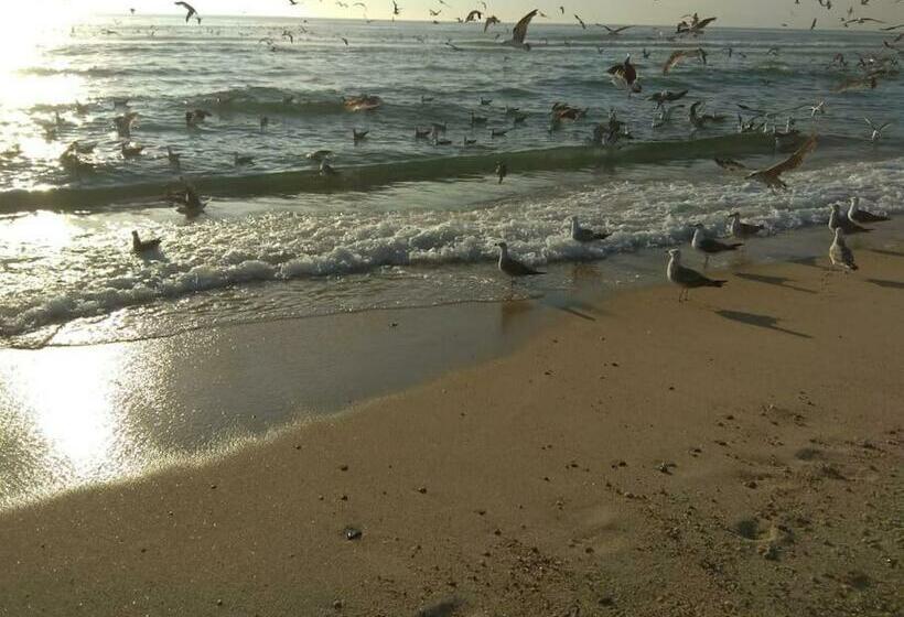 Apartamento Em Torreira   Nenúfares