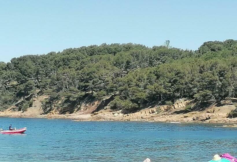 Bora Bora   Pin Rolland   Saint Mandrier