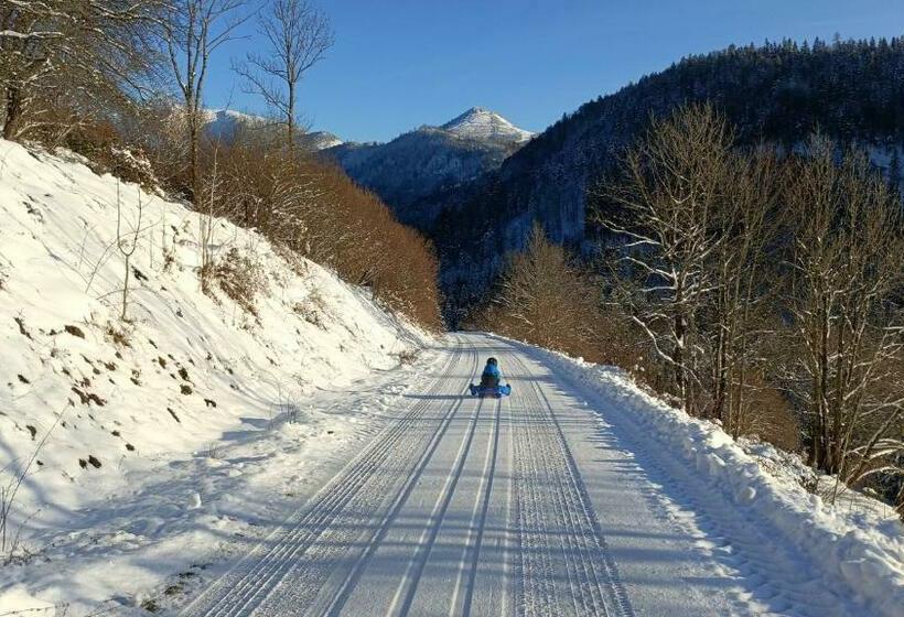 Ferienhaus Oberschindlberg