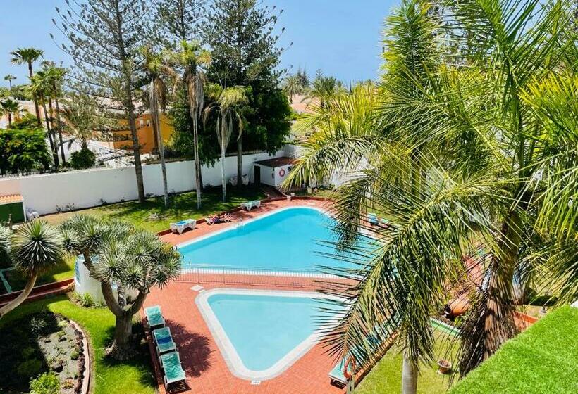 Lizards Lounge   Tanife Apartment Beim Yumbo