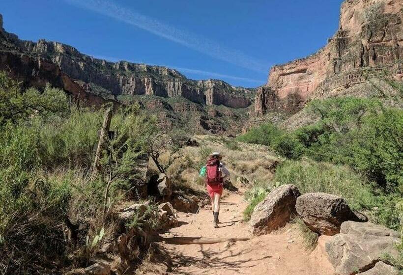 Scottsdale Luxury Pool, Bbq, Smoker, And Pool Table