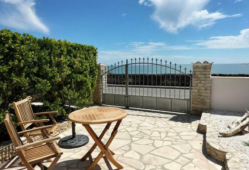 Venez Vous Ressourcer Sur Les Falaises De Meschers