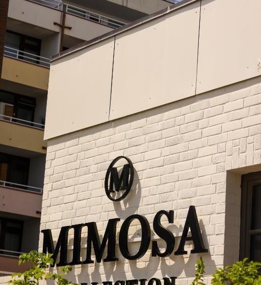 هتل Mimosa