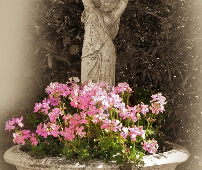 فندق Brandenburger Hof