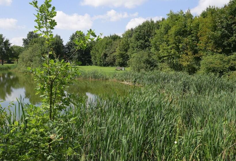 فندق Brandenburger Hof